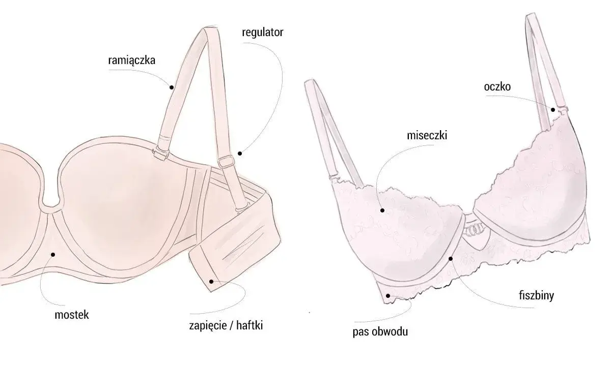 Ilustracja pokazuje budowę biustonosza, idealnego dla biustu 70B, z zaznaczonymi elementami: ramiączkami, fiszbinami, miseczkami i zapięciem.