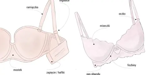 Ilustracja pokazuje budowę biustonosza, idealnego dla biustu 70B, z zaznaczonymi elementami: ramiączkami, fiszbinami, miseczkami i zapięciem.