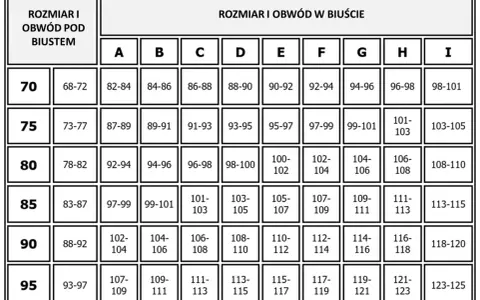 65C jaki to rozmiar - poznaj wymiary i porównania do innych rozmiarów