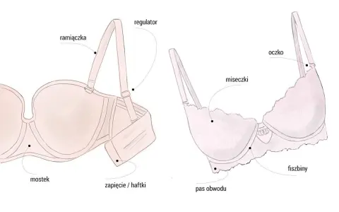 Ilustracja pokazuje budowę biustonosza, idealnego dla biustu 70B, z zaznaczonymi elementami: ramiączkami, fiszbinami, miseczkami i zapięciem.