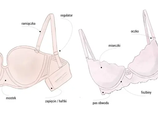 Ilustracja pokazuje budowę biustonosza, idealnego dla biustu 70B, z zaznaczonymi elementami: ramiączkami, fiszbinami, miseczkami i zapięciem.